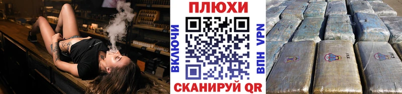 ГАШ Premium Камышлов