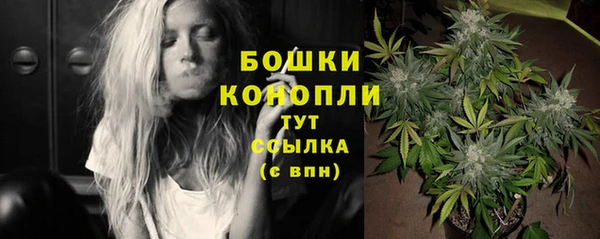 ПСИЛОЦИБИНОВЫЕ ГРИБЫ Баксан